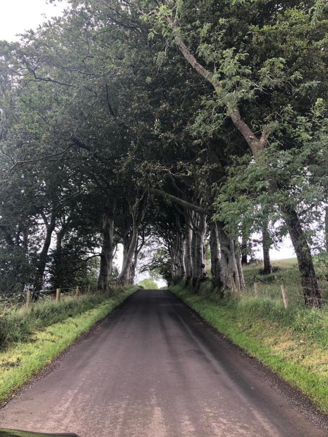 شقة Stranocum  في Den @ The Dark Hedges المظهر الخارجي الصورة